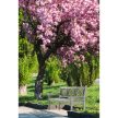Fából készült kerti pad, szürke, 150 cm, FABLA